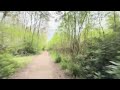 Kirbebike 250 Fully Legal