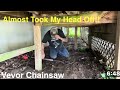 VEVOR $97 The BEST Top Handle Chainsaw. Perfect Little Chainsaw Tree Trimming