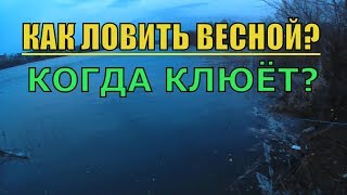 Ловля СОМА ВЕСНОЙ! ОРИЕНТИР(приметы) когда клюёт сома ВЕСНОЙ!