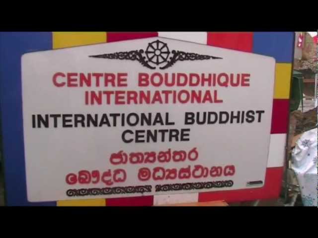 Protect Buddhism