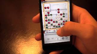100 Ways to Organize iPhone App Review