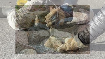 Intro to Computation Group 2 Final Project Video