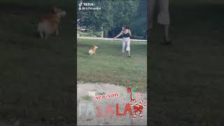 Celebrity 'tis the sea-sun to be Jolly!!! #christmas2021 #happybirthdayjesus #daybed #calalaiya Profile