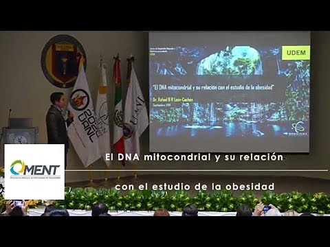 Vídeo: La Metilación Del ADN Mitocondrial Plaquetario Predice El Resultado Cardiovascular Futuro En Adultos Con Sobrepeso Y Obesidad