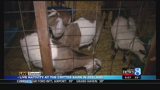 Live nativity at Critter Barn in Zeeland