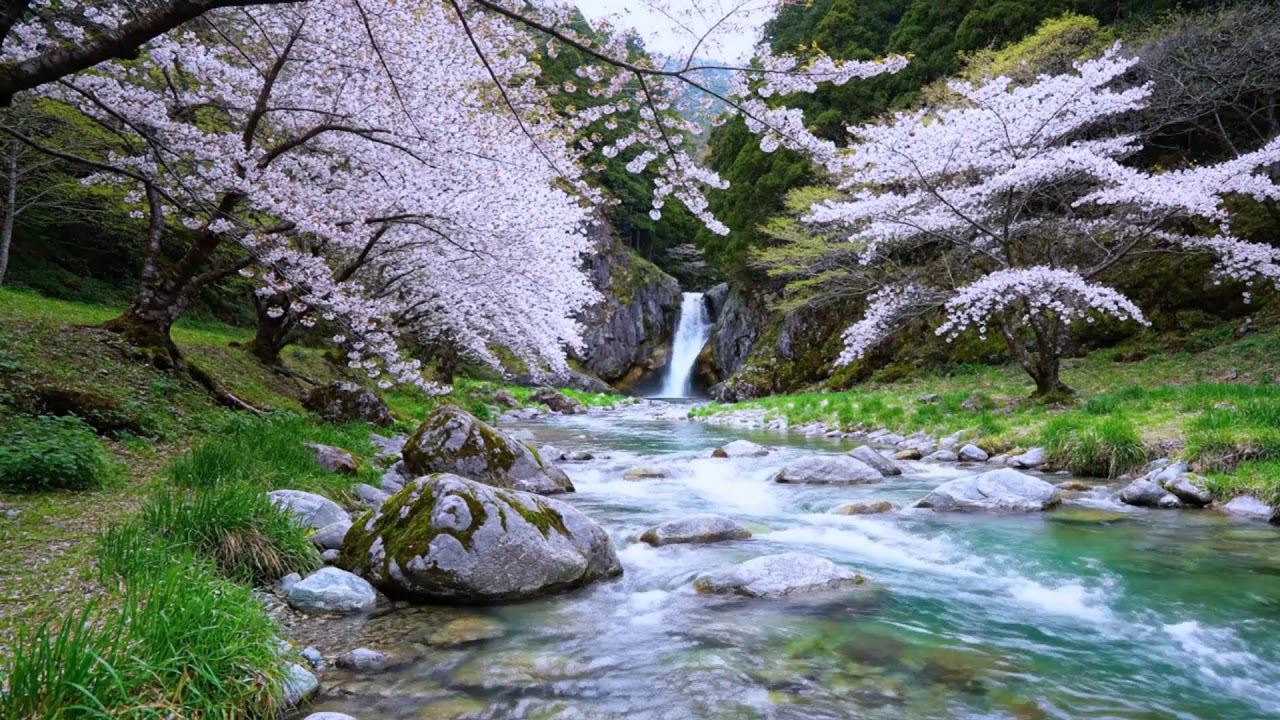 Relaxing Soothing water  emotions sounds for sleep is a meditation treatment that aims to calm