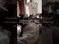 La paciencia de mi cartujo silencioso con el gato hablador que dormía debajo del enebro de mi puerta