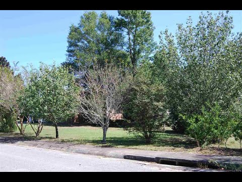 9832 CRESTMONT CIR, Pensacola, FL home video tour