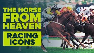 THE HORSE FROM HEAVEN | Saintly | Racing Icons