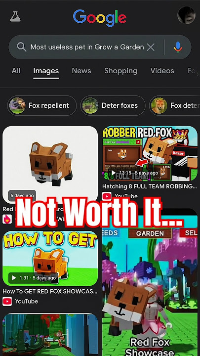 Is Red Fox really worth it? Or just hype bait?