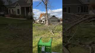 Watch This Giant Wood Chipper Devour an Entire Tree! | Precision Tree Care Baraboo, WI