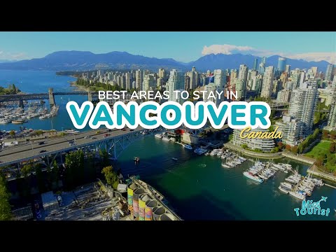 Reproductor de vídeo de YouTube