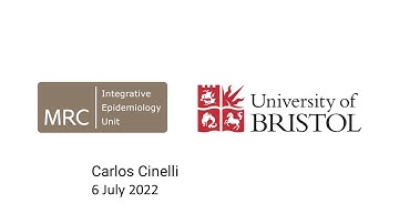 IEU Seminar Carlos Cinelli