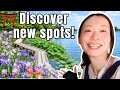 Tokyo’s Hidden Gems! | Flower Park & Interesting Temple/Shrine⛩️🪻🪷
