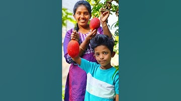 Tom 🍓 Jerry (Rithvi&Kavi)Real End Twist 😂🎈 #shorts