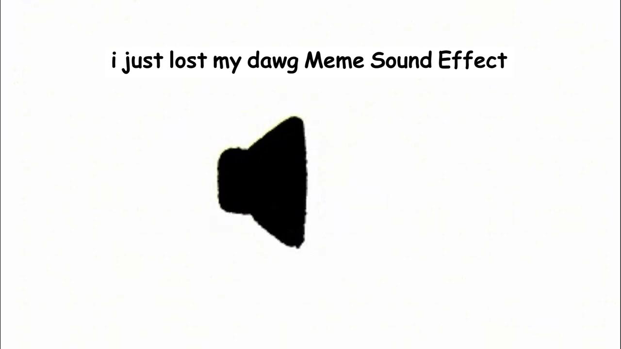 I Just Lost My Dawg Meme Sound Effect YouTube i-just-lost-my-dawg-youtube