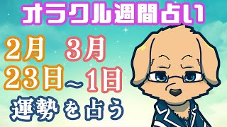 【週間占い】春なのか冬なのかわかんない気温しないで / オラクルカード第139回【Vtuber/星戌セン/#vtuber #オラクルカード #占い】