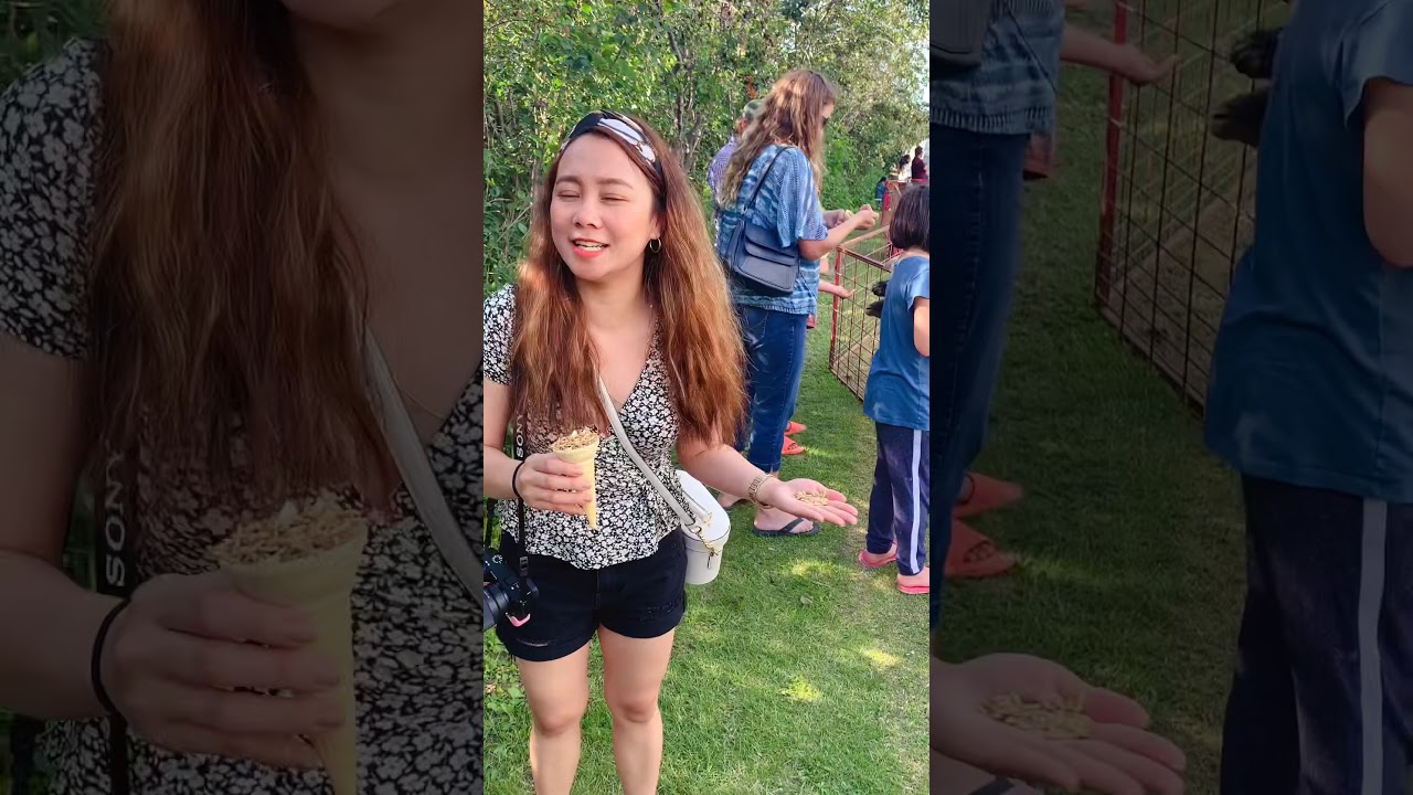 Fun at The Berry Barn