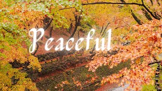 Relaxing Meditative Fall Music / Trickling Water Sound