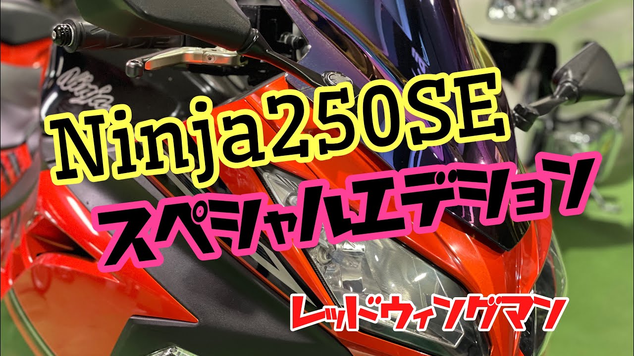 超綺麗！自賠責有Ninja250SE special Edition Ninja250/Special Edition/ABS Special Edition］2015年モデルは