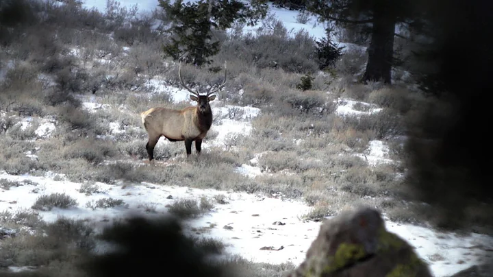 Idaho Muzzleloader Elk Hunt Episode 2 - The Grind