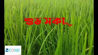 শুভ সকাল 1 screenshot 5