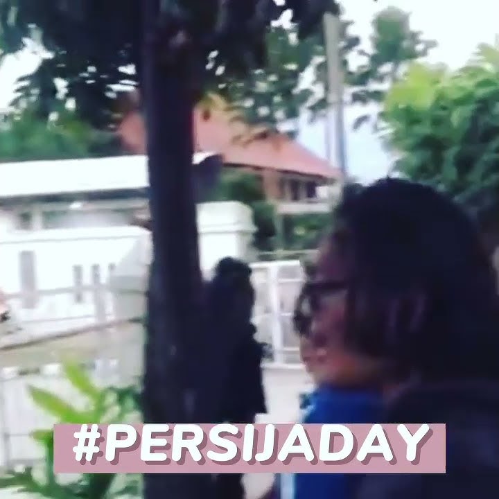 Lagu Persija - Field Of Gbk #shorts