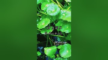 سورة الانعام الايه 157