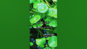 سورة الانعام الايه 157