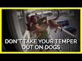 When humans have temper tantrums  outbursts dogs can suffer