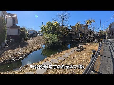 八王子市叶谷町をぐるり～八王子ランチ☆インド料理//サンガム＠元本郷町