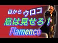 フラメンコの熱量を伝える表現！