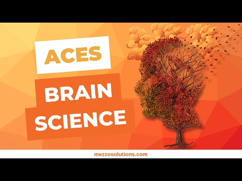 Adverse Childhood Experiences Brain Science