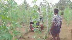 Master Weeder - YouTube, Garuda Master Weeder Weeding - YouTube, Ridger Attachment - YouTube, Master Weeder - View Specifications & Details of Power Weeder by ..., Power Tiller - Naikkrishi, Sharp Garuda Master Weeder, Vidhut Ka Nirai Upkarn, पावर वीडर ...
