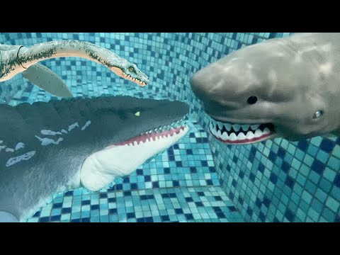 Videó: Még él a mosasaurus?