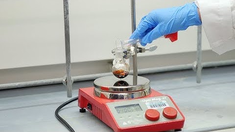 Allison Hacker Senior Project | Cal Poly Magazine