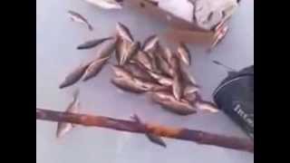 Приколы про зимнюю рыбалку 2014 Смотреть прикольное видео Приколы про зимнюю рыбалку 2014 Смотреть прикольное видео