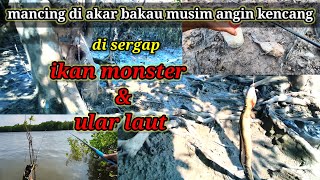 TERNYATA MONSTER INI DIDAPAT KALAU MANCING DI AKAR BAKAU MUSIM ANGIN KENCANG