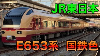 【JR東日本】国鉄色E653系臨時快速成田山初詣常磐号に乗車して来ました！