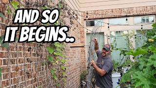 🌱 The Garden Takedown Has Officially Begun!