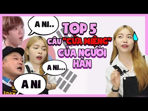 TOP 5 CÂU CỬA MIỆNG NGƯỜI HÀN DÙNG HÀNG NGÀY (cực dễ) | CÁCH GIAO TIẾP TIẾNG HÀN CHUẨN