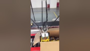 Smart computer control spider type robot head picking sorting cartoning machine encasing line