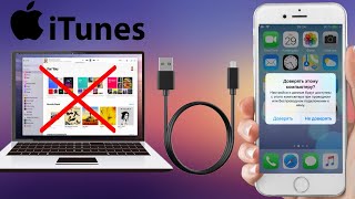 Что делать если iTunes не видит iPhone