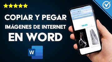 Cómo Copiar y Pegar Imágenes de Internet a Word o PowerPoint con el Teclado