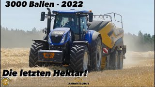 Lohnauftrag 3000 Ballen Pressen New Holland BigBaler 1290 Quaderballenpresse Strohwetter Strohernte