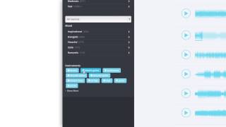 How to use Music Filters on MotionElements: Instruments screenshot 4