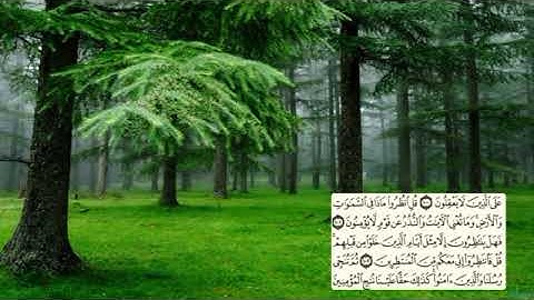 صفحة-220 page سعد الغامدي - -سورة يونس -10-Jonas) Yunus)