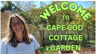 WELCOME TO CAPE COD COTTAGE GARDEN 🌼🌻🌶☀️