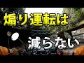 【煽り運転は減らない】空波鳥の呟き2022