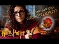 ESISTONO ANCORA GRIFONDORO? || PotterVlogs